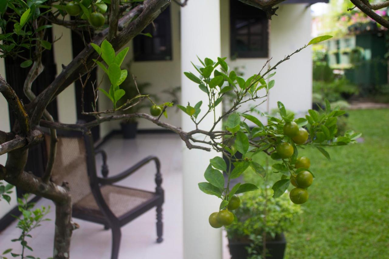 Airport Gateway Residence Negombo Exteriör bild